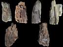 petrified wood0005.jpg